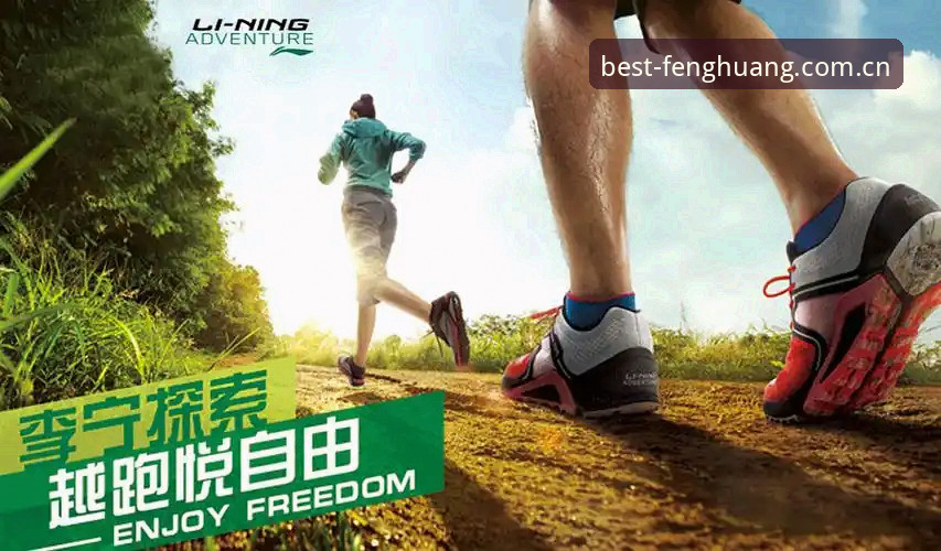 凤凰体育官方CN首页必备指南：从下载到深度使用的完整路径